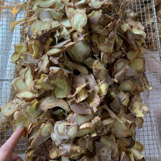 SÂM NGỌC LINH NGÂM MẬT ONG