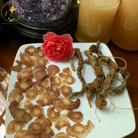 SÂM NGỌC LINH NGÂM MẬT ONG