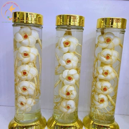SÂM HÀN NGÂM RƯỢU 