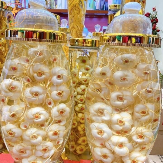 SÂM HÀN NGÂM RƯỢU 
