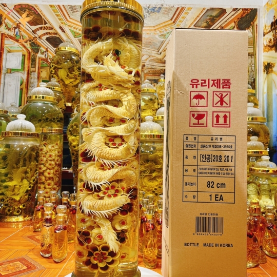 SÂM HÀN NGÂM RƯỢU 