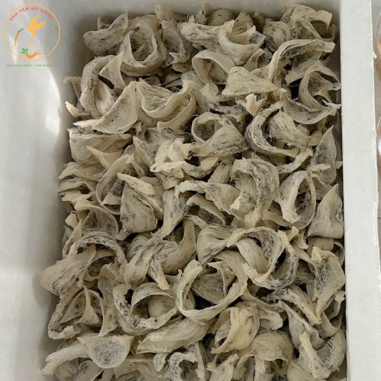 tổ yến thô