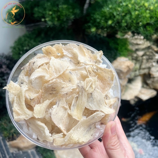 Chân Yến Đảo Thô