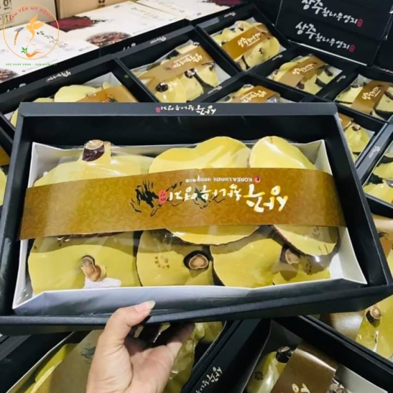 nấm linh chi hàn quốc thuong hang