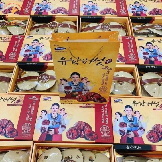 NẤM LINH CHI HÀN QUỐC