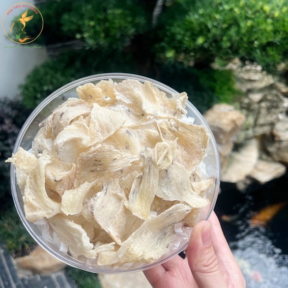 Chân Yến Đảo Thô
